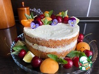 ���� "�������-�������" �����������