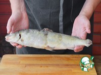 ���������� �� ������� �����������