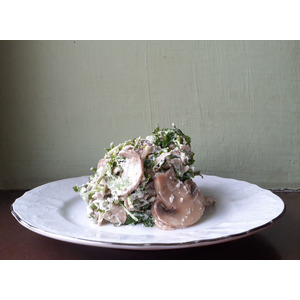 ����� "� ������ ����"