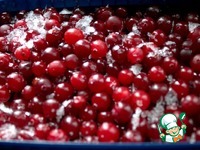 ��������� ����� ��� ������ �����������