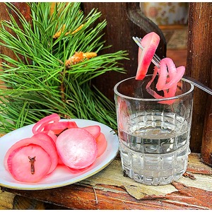 ������������ ����� ����������