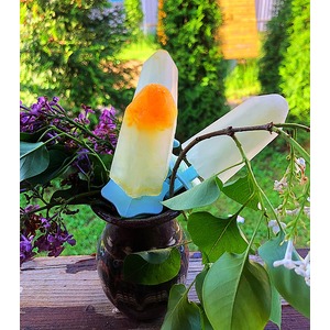 ��������� ��������� ��