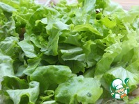 ���������� ����� �����������