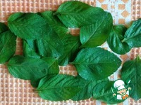 ���������-������ ����� � ��������� �����������