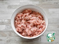 ������ ������� � �������� ������� �����������