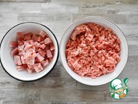 ������ ������� � �������� ������� �����������