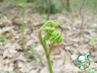 ������� ����������� ������ �����������