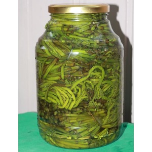 ������� ����������� ������