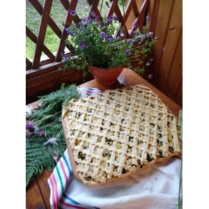 ����� "������" � ������ �����