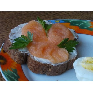 ���� ��������� ������ ������