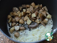 ������� � ����������� � ������� �����������