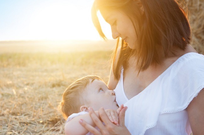 ������ � ���������������: ���������� � ������ ���� ������ �������