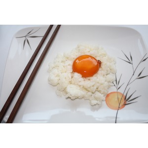 ������������ ������ ������