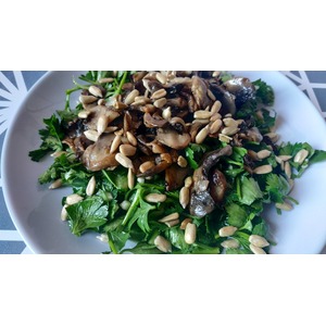 ����� � ������������