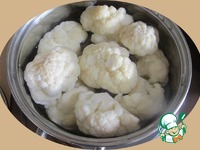 ������� ������� "�������" �����������