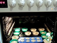 ����� "������������" �����������