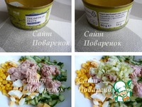 ����� � ������ � ��������� �����������