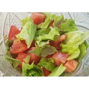 ����� ����������� "��������"