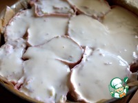 ������ �����-��������� �����������