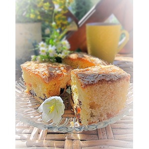 ����� � ����������� ���������