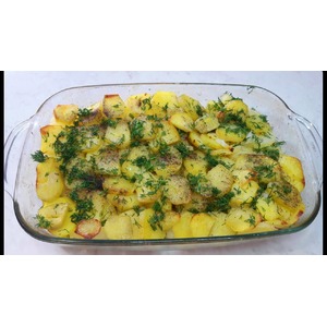 ������������ ���������