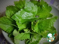 ���������-��������� ������� "���������" �����������