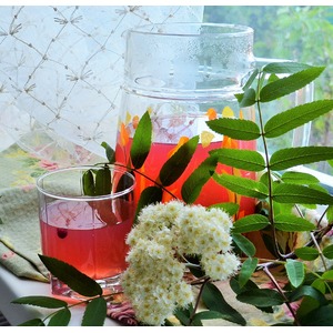 ���������-��������� ������� "���������"