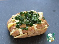 ���������� ������� � ����� �����������