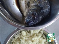 ����, ������������� �������� �����������