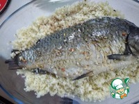 ����, ������������� �������� �����������