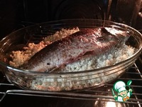 ����, ������������� �������� �����������