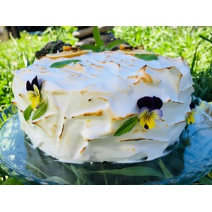 ���� "�������� ������"