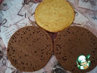 ���������-������������ ���� �����������