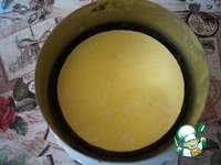 ���������-������������ ���� �����������