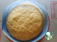 ������ � ��������, ������, ��������� �����������