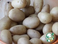 ����� �� �������� ��������� �����������