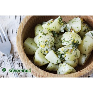 ����� �� �������� ���������