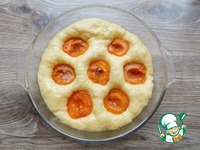 ������������ ����������� ����� �����������