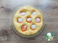 ������������ ����������� ����� �����������