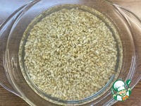 ������� ���� � �������� � �������� �����������