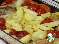 ����, ���������� � �������� ���������� �����������