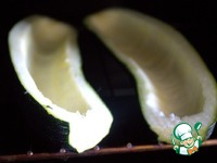 ������� ������� � ������ �����������