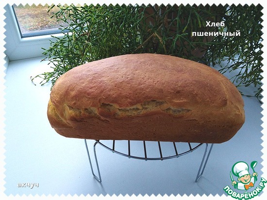 ���� ��������� �� ������� ���������  fawn