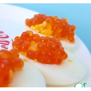 ������������� ����