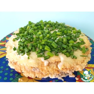 ���������� ���� "��������"