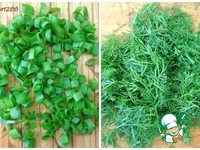 ����� ����������� ����������� �����������