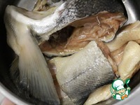 �������� ��� � ����� � �������� �����������