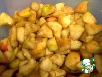 ����� �������-�������� �����������