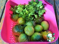 ������ ������ �������� �����������