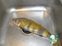 ������� ����� ���� ��-�������� �����������